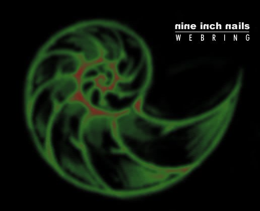 nin [ ammoni(n)te ]