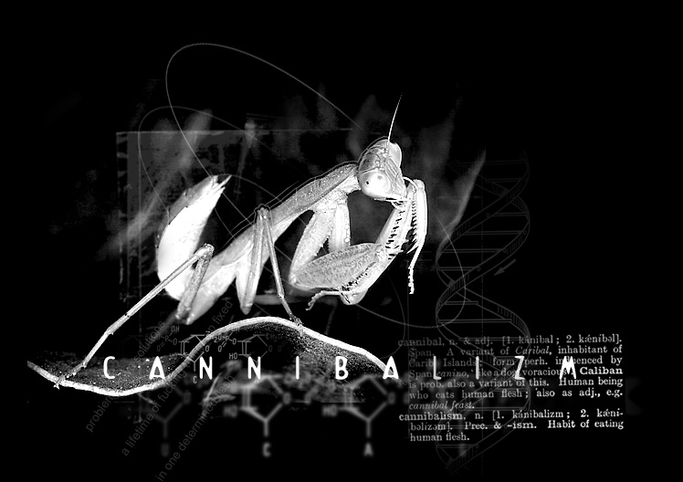 [ canni(n)balizm ]