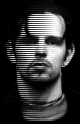 danny lohner