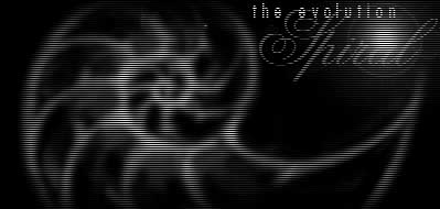 [ evolution spiral ]